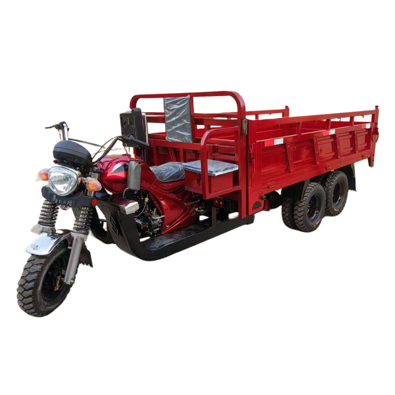 Cheap New Design Oil powered Trikes 9 Wheels Cargo Electric Tricycles Motorcycle for Adults