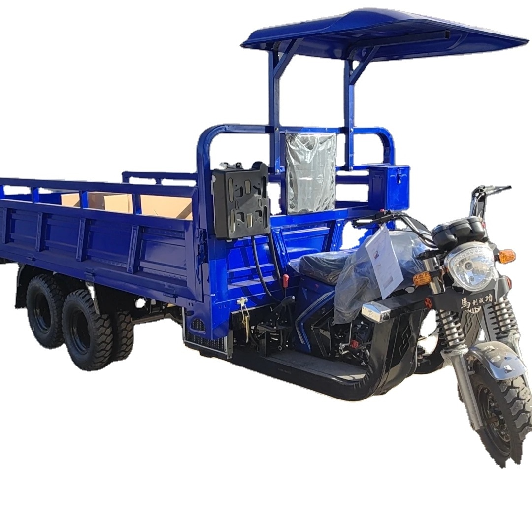 Tricycle Motor With Gasoline Tricycle 300cc/350cc Engine Electric Tricycle 9/nine Wheeler Cargo Bike for Sale