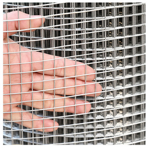 Chicken Welded Wire Mesh Roll Woven Wire Netting Hot Dipped Galvanized Iron Wire Mesh For Rabbit Cages