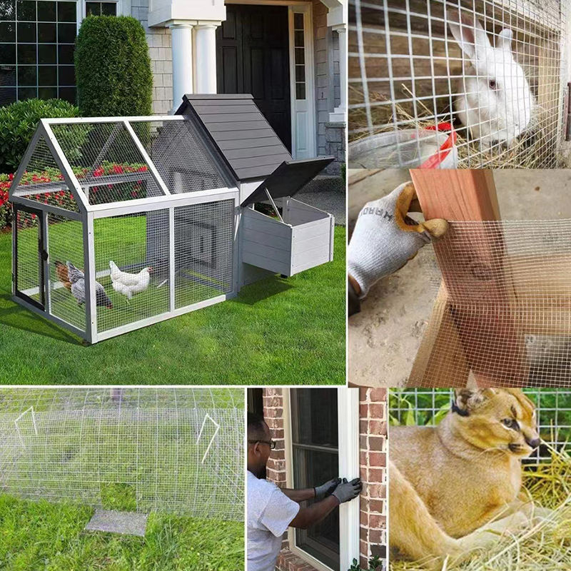 Chicken Welded Wire Mesh Roll Woven Wire Netting Hot Dipped Galvanized Iron Wire Mesh For Rabbit Cages