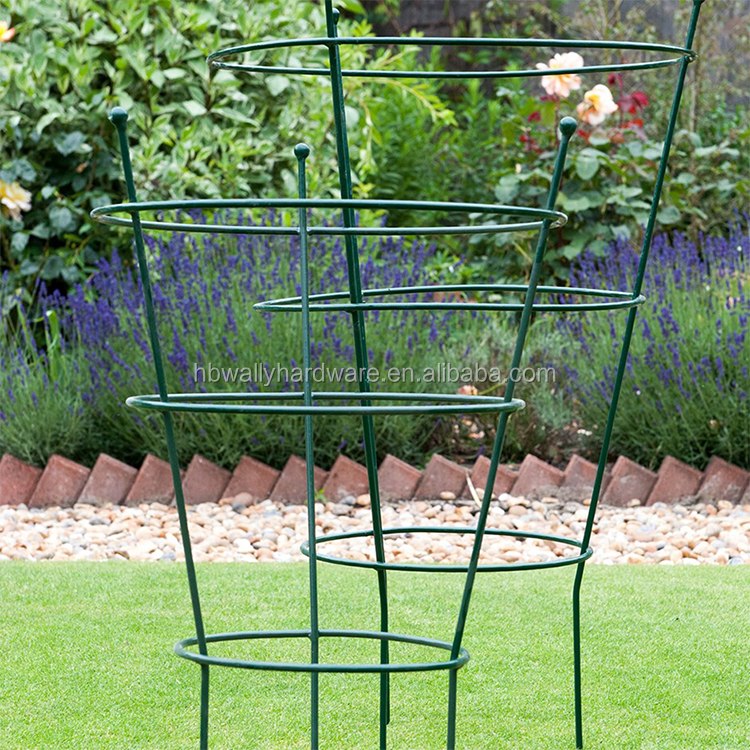 Galvanized Round And Square Plant Support For Tomato