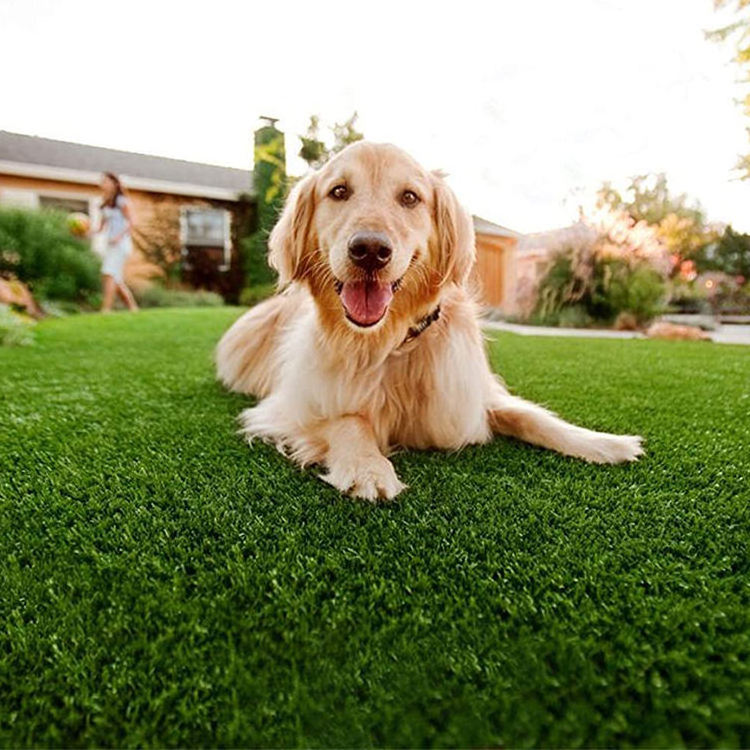 Artificial Grass Flooring Indoor Artificial Grass Carpet Dogs