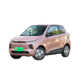 mini car Pocco meimei electric car 116km 180km 2-seater hatchback electric tricycles new energy vehicles