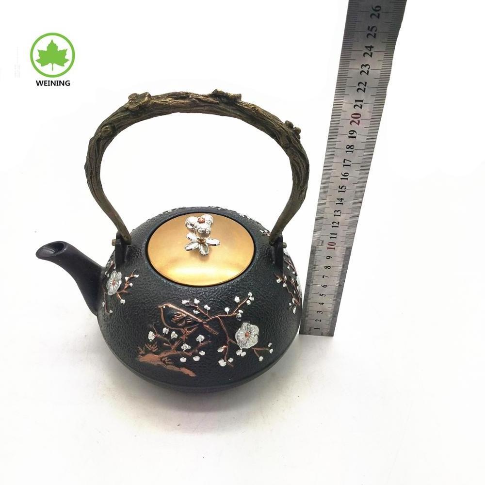 Japanese Cast Iron Teapot Metal Cast Iron Japaneae Teapot With Infuser