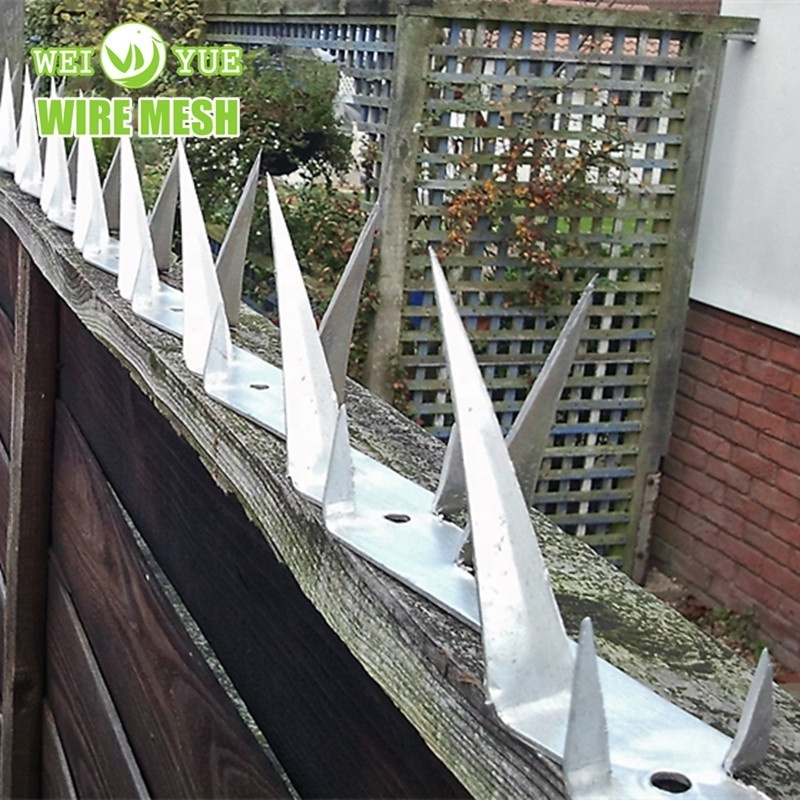 Security Razor Spikes, Anti-climb Fence Spike tree climbing spikes