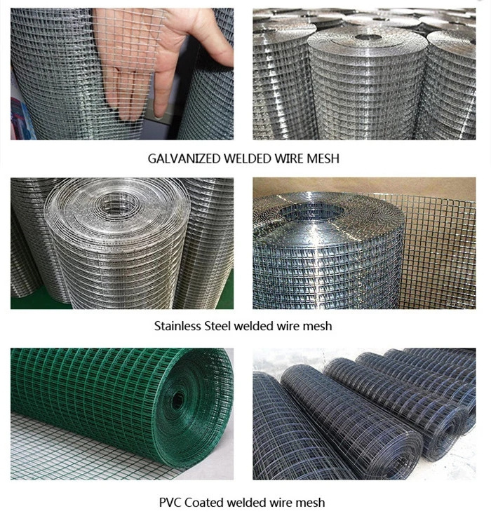 Factory outlet pvc galvanized welded fencing net iron wire mesh welded wire mesh panel roll