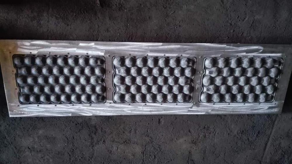 Aluminum Apple Tray Mold