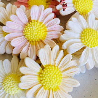 chamomile candle Small Gift Birthday Party  and Wedding Favor Baby Shower Decor Gifts Mothers Day candle for spring gift