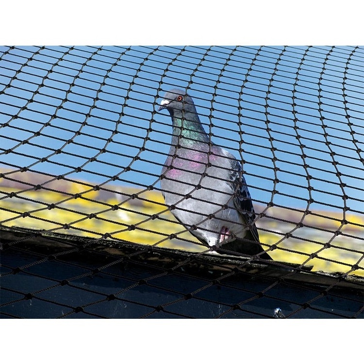 Anti-bird netting birds trap mesh net catching bird nets for catching