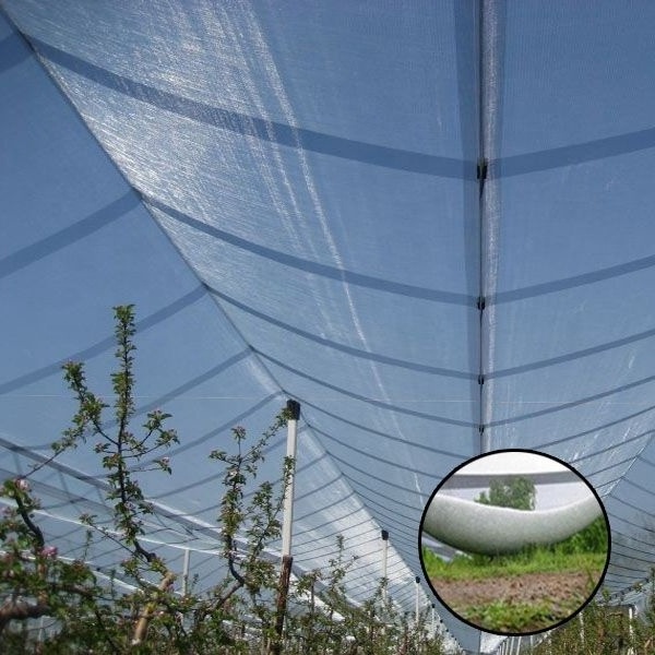 5 years guarantee orchard anti hail net, apple tree anti hail protection net