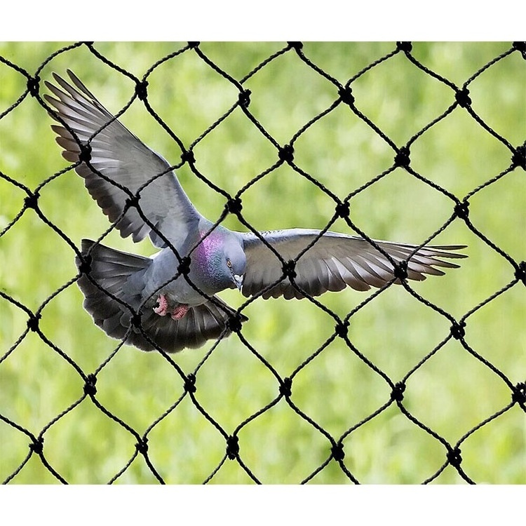 Anti-bird netting birds trap mesh net catching bird nets for catching