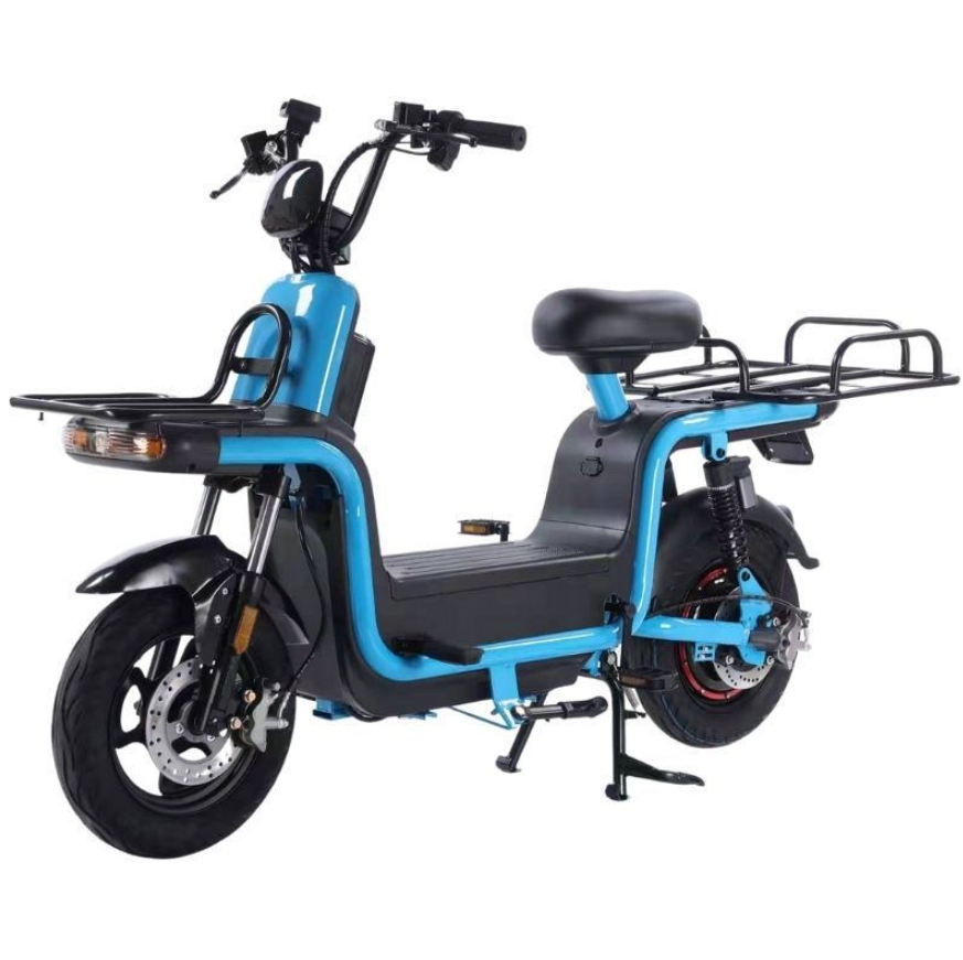 OEM/ODM electric city bike motor bike dual battery ebike enclosed bicicleta eletrica 1000w electric bicycle with high power