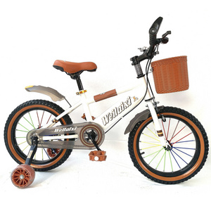 Factokids mountain bike kids  boys bicycle children rechargeable pedal bike for kids 3-8 year single speed