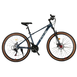 size 24inch large  quadro de bicicleta 12 gear 26 mountain bike for women aluminum allluminium mountain bikes