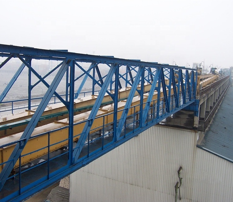 Professional wood chip Redler chain conveyor supplier