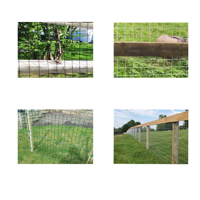 hog wire panels 6x6 ss304 bird cage brc welded wire mesh roll for fence mesh 1/2