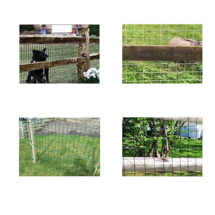 brc galvanized welded wire meshgalvanized welded wire mesh for garden fencemesh wire fences for snakes