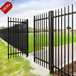 Customized Black Palisade Small Main Designs Wrought Iron Gate