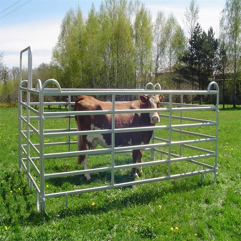 Oval Rail Cattle Panels for Australia New Zealand