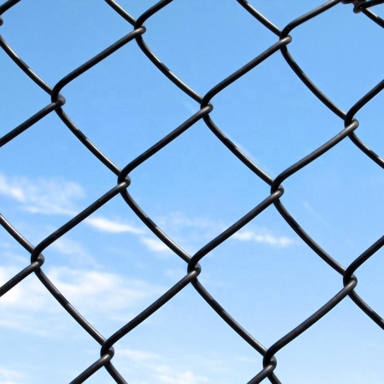 Hot Sale Hot Dipped Galvanized and PVC Coated Chain Link Fence