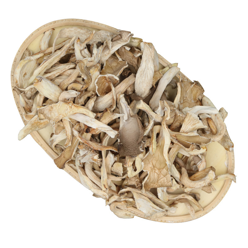 Healthy Dried Abalone Mushroom Popular Export Dry Oyster Mushroom