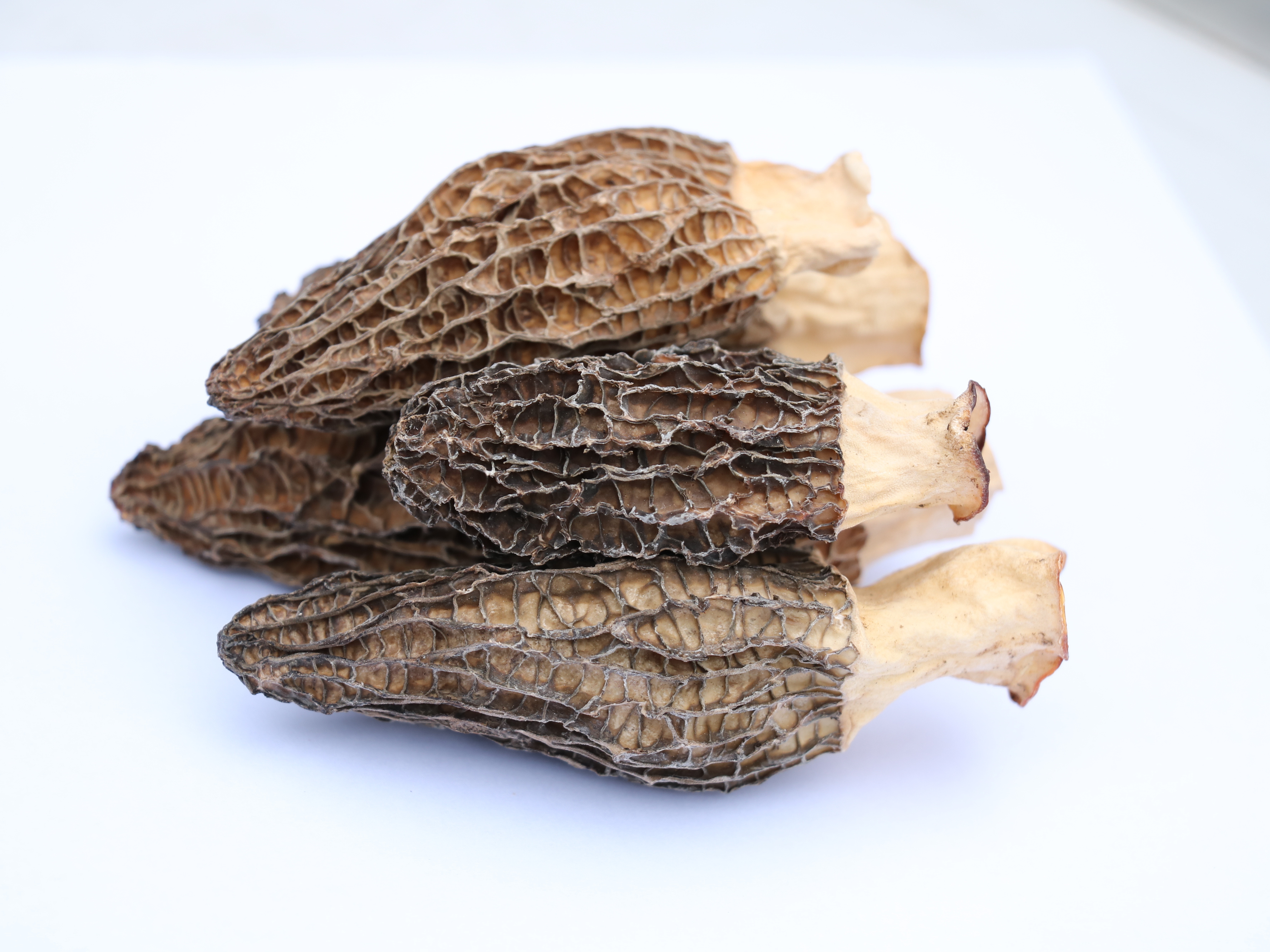 Manufacturers Direct Sale Morel Mushroom 500g/Bag 3.5~6Cm Dried Morel Mushrooms