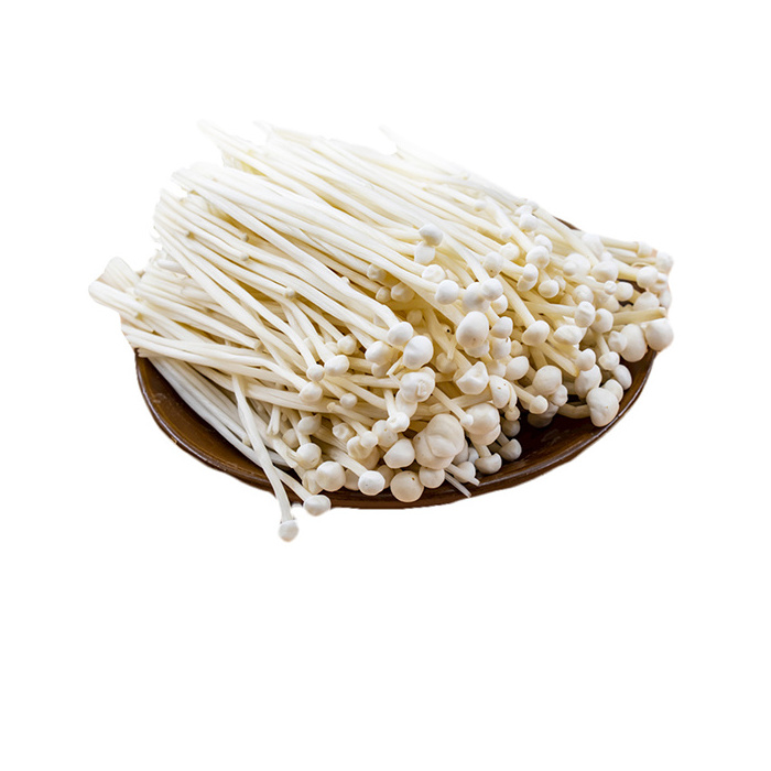 Hot Selling Good Price Fresh Enoki Mushroom Delicious Flammulina Enoki