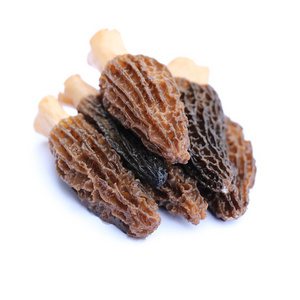 New High Quality Morel Mushrooms Morchella 3.5~6Cm Delicious Morel Mushroom Spores