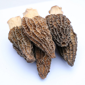 Manufacturers Direct Sale Morel Mushroom 500g/Bag 3.5~6Cm Dried Morel Mushrooms