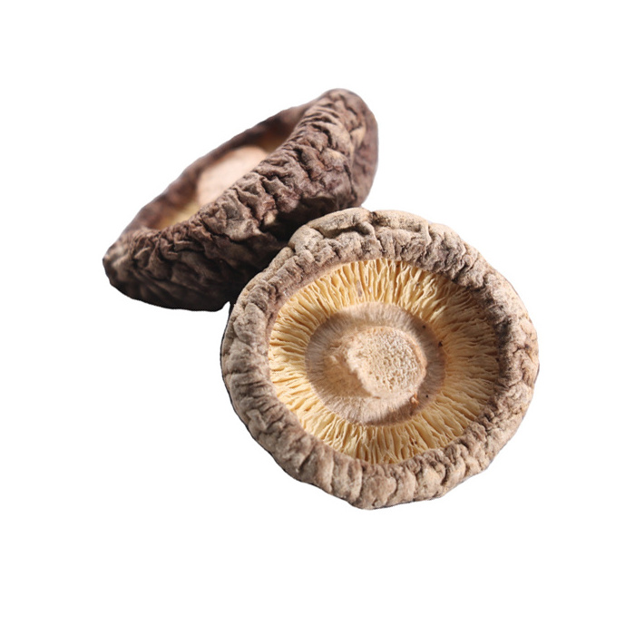 Newest Hot Sale Dried King Oyster Mushroom 3~5Cm Organic Dried Whole Shiitake Mushroom