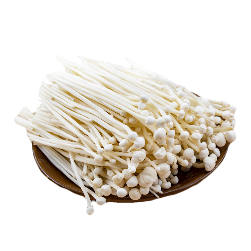 Newest Hot Sale Enoki Mushroom 500g/Bag Enoki Golden Needle Mushroom