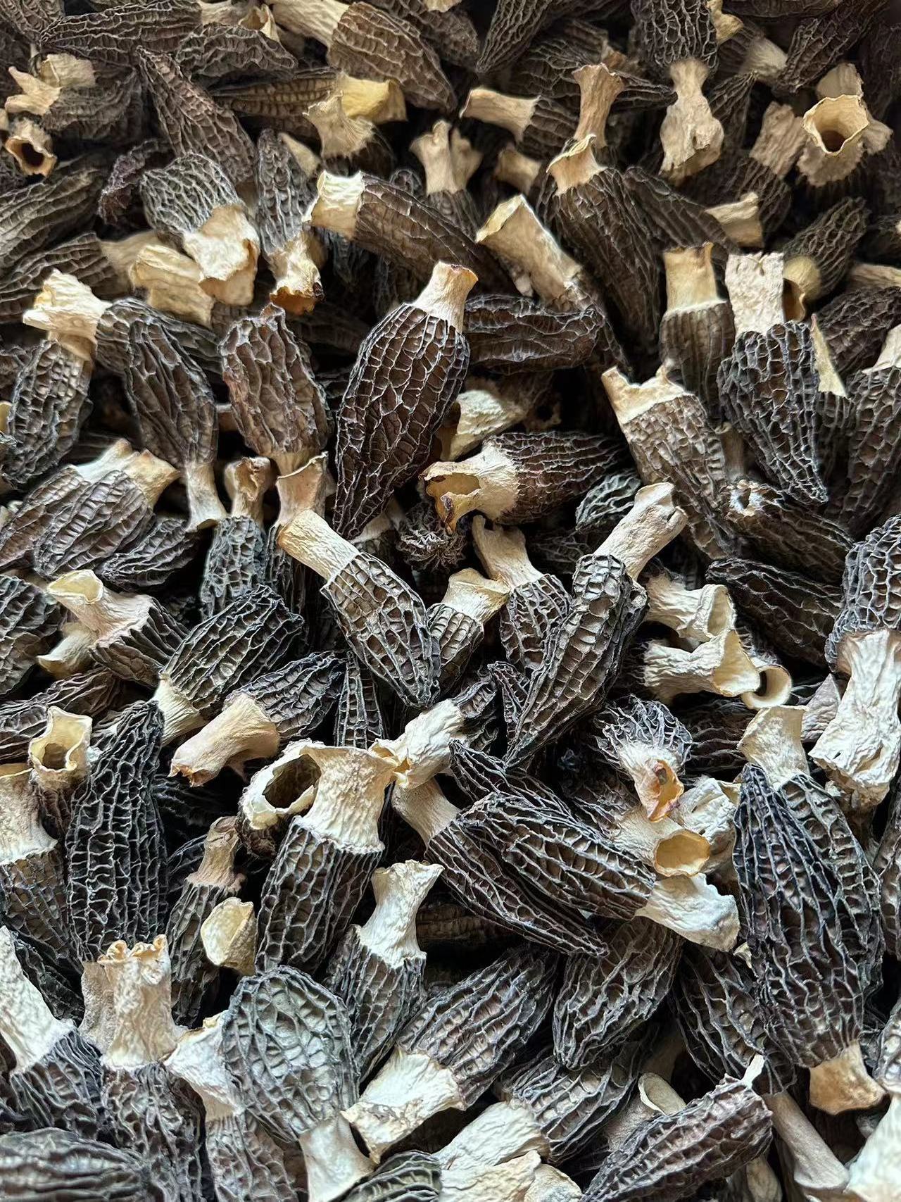 New High Quality Morel Mushrooms Morchella 3.5~6Cm Delicious Morel Mushroom Spores