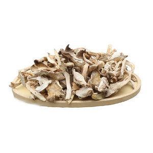 Healthy Dried Abalone Mushroom Popular Export Dry Oyster Mushroom