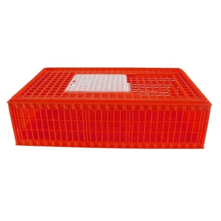 Thickened New Poultry Transport Cage Special Clinker Plastic Chicken Pigeon Rabbit Cage for Home Use and Farms