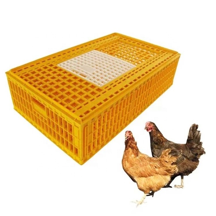 Plastic chicken cage quail cage poultry turnover box