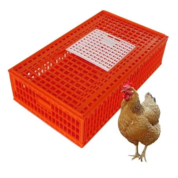 Thickened New Poultry Transport Cage Special Clinker Plastic Chicken Pigeon Rabbit Cage for Home Use and Farms