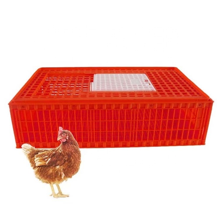 New Home Use Transport Cages for Chickens and Ducks Turnover Boxes and Baskets Equipment for Farm Transportation and Breeding