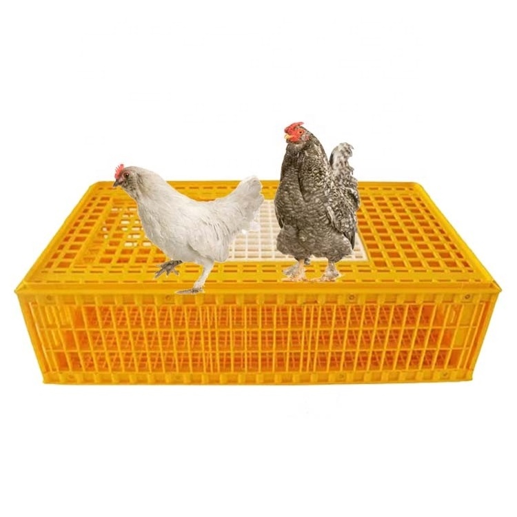 New Home Use Transport Cages for Chickens and Ducks Turnover Boxes and Baskets Equipment for Farm Transportation and Breeding