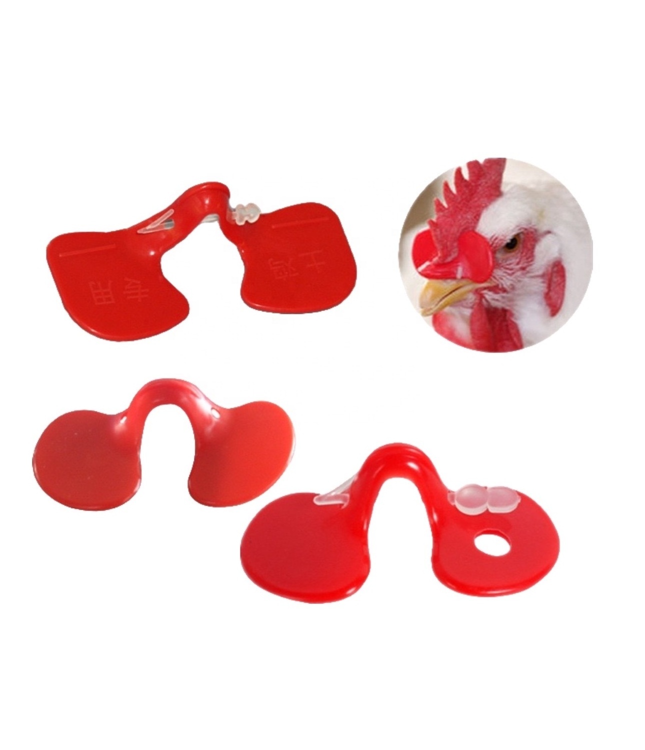 Native Chicken Rooster Glasses with Anti-Pecking Eye Mask Large Medium Small Sizes Protective Equipment Supply