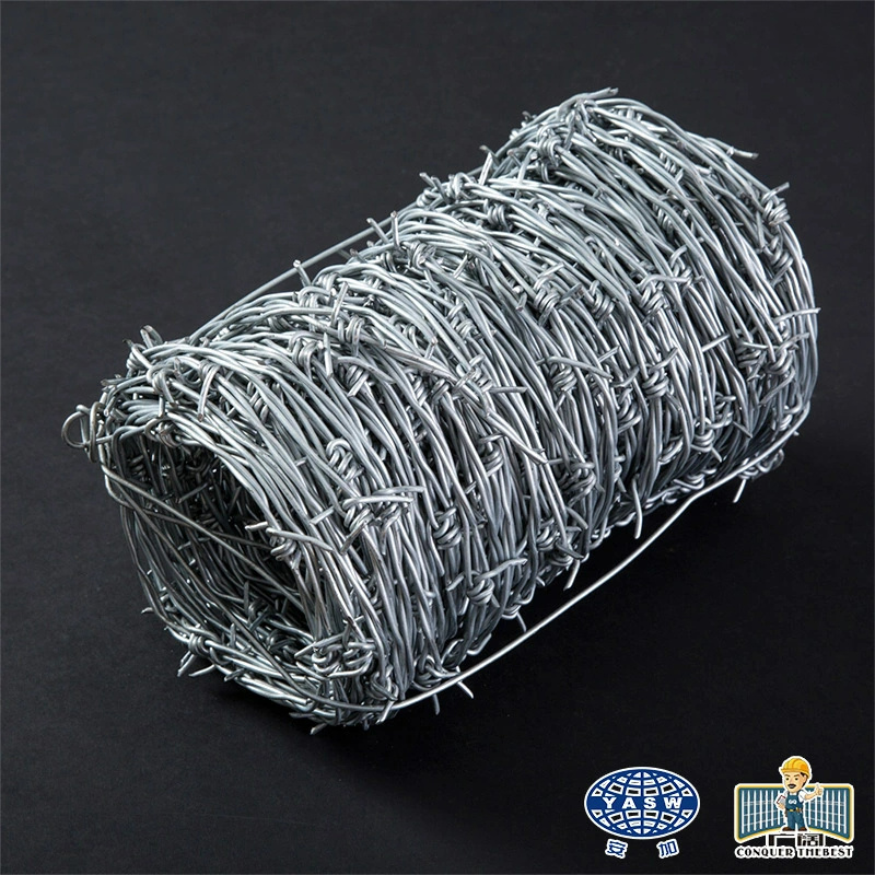 custom South America market 500m 25kgs/roll calibre  hot dipped galvanized barbed wire Alambre de puas galvanizado