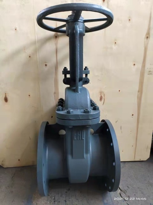 Russian standard Gost Steel WCB Manual Slide Wedge Gate Valve