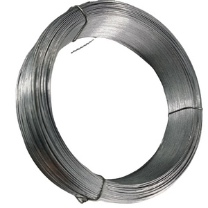 0.15mm-6.0mm Hot Dipped Galvanized/Electro Galvanized Iron/Steel Wire for Armour Cable