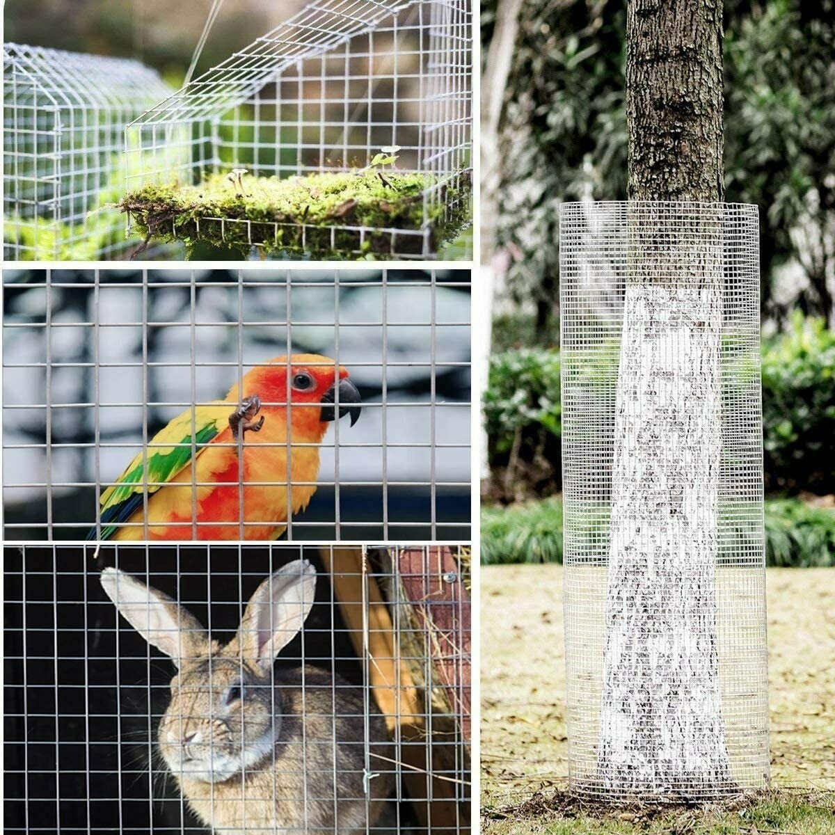 High Quality Galvanized Iron 10 gauge Welded Wire Mesh Dog Fence Rabbit Bird Animal Pet Cages Netting