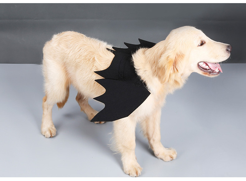 Halloween Carnival Party Decor Customized Black Felt Material Bat Wings for Pet