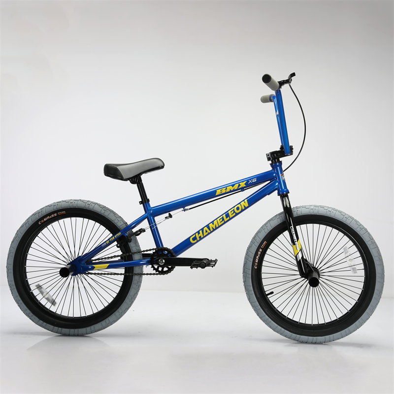 Top Promotional Freestyle Bmx Dirt Jump Bike 20 Inch BMX Bikes with trendy design