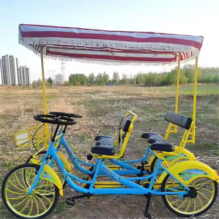 2 person tandem bikes for sale/touring bike 2 seats/surrey bikes for sale