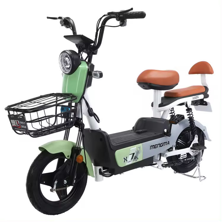 500W Dual Motor Dual Battery E-Bike Kit with 48V Battery Fat Tire Electric Bicycle for Mobility