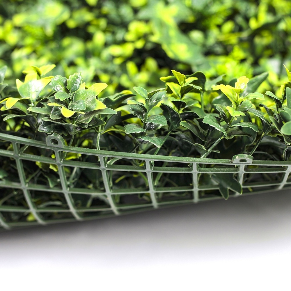 ZC 50*50 cm Anti-UV Artificial Hedge Boxwood Panels Green Leaf Plant Artificial Grass Wall Panels for Indoor Outdoor Decoration