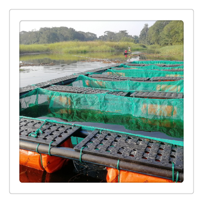 HDPE Circular Floating Fish Cage frame  System for Aquaculture Farm Sea Fish Farm Equipment