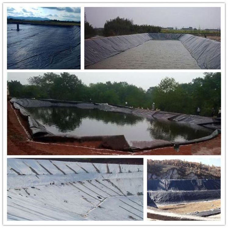 HDPE Geomembrane Swimming Pool Liner/black geomembrane hdpe fish farming pond liner